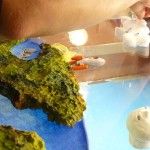 Cuentos del Horizonte - Citoplasmas Stop Motion Animation