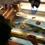 Cuentos del Horizonte - Citoplasmas Stop Motion Animation