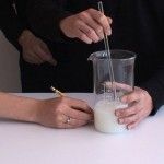 Copa Fad - Citoplasmas Stop Motion Animation