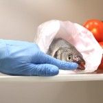 gourmet - Citoplasmas Stop Motion Animation