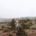 Haldor Mar - Citoplasmas Stop Motion Animation
