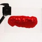 Happy 2012 - Citoplasmas Stop Motion Animation