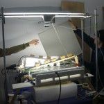 Hasta las huevas - Citoplasmas Stop Motion Animation