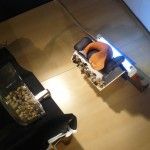 Hasta las huevas - Citoplasmas Stop Motion Animation