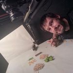 Inedit- Citoplasmas Stop Motion Animation