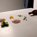 Inedit- Citoplasmas Stop Motion Animation