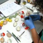 Kinder - Citoplasmas Stop Motion Animation