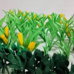 Manos Unidas17- Citoplasmas Stop Motion Animation