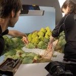 Manos Unidas - Citoplasmas Stop Motion Animation