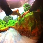 Medicos mundo- Citoplasmas Stop Motion Animation