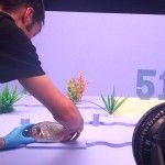 Manos unidas- Citoplasmas Stop Motion Animation