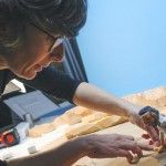 Museo Paleontologia - Citoplasmas Stop Motion Animation