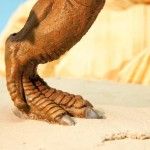 Museo Paleontologia - Citoplasmas Stop Motion Animation