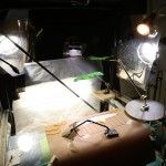 Solac- Citoplasmas Stop Motion Animation