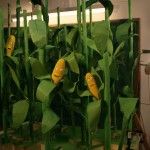 Quiero ser tortilla - citoplasmas stop motion animation